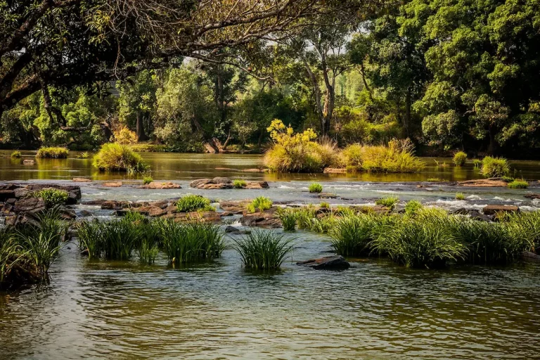 South India Tour Package 3 768x512