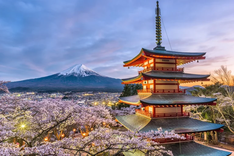 Tokyo Tour Package 768x513