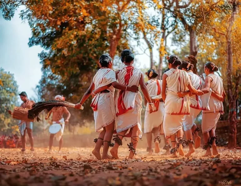 Odisha Tribal Tour Package 768x595
