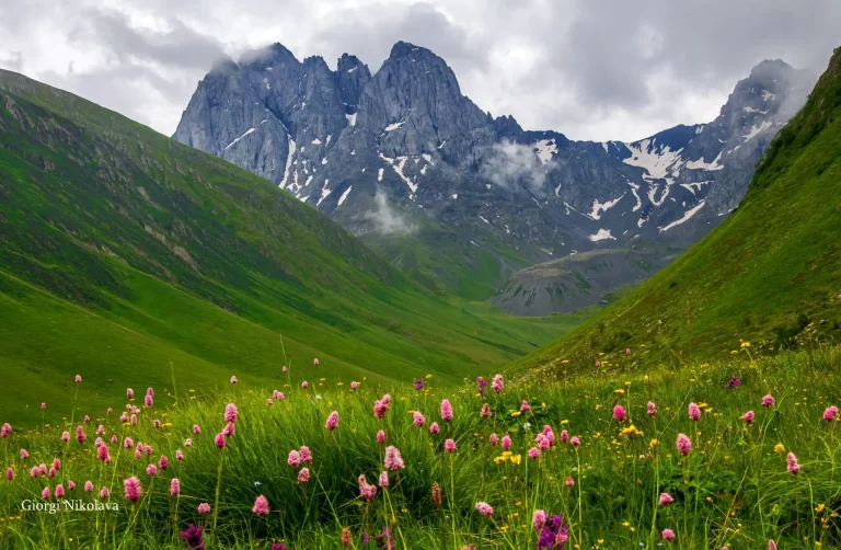 Georgia Tour Package 4 2 768x502