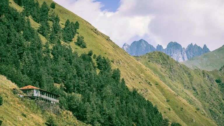 Georgia Tour Package 5 4 768x432