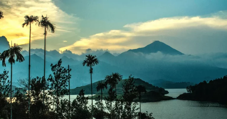 Exotic South India Package with Mysore Ooty Wayanad 2 768x402