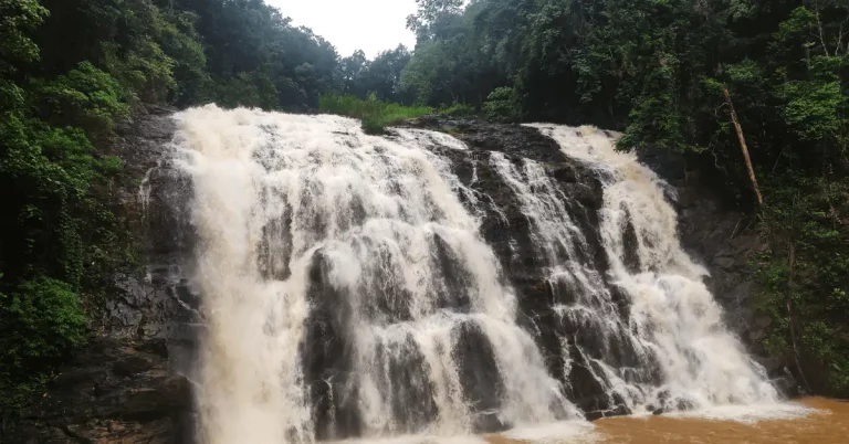 Karnataka Kerala Package Tour with Mysore Coorg Wayanad 1 768x402
