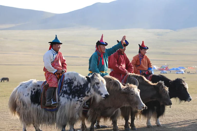 Mongolia Tour Package 3 768x512