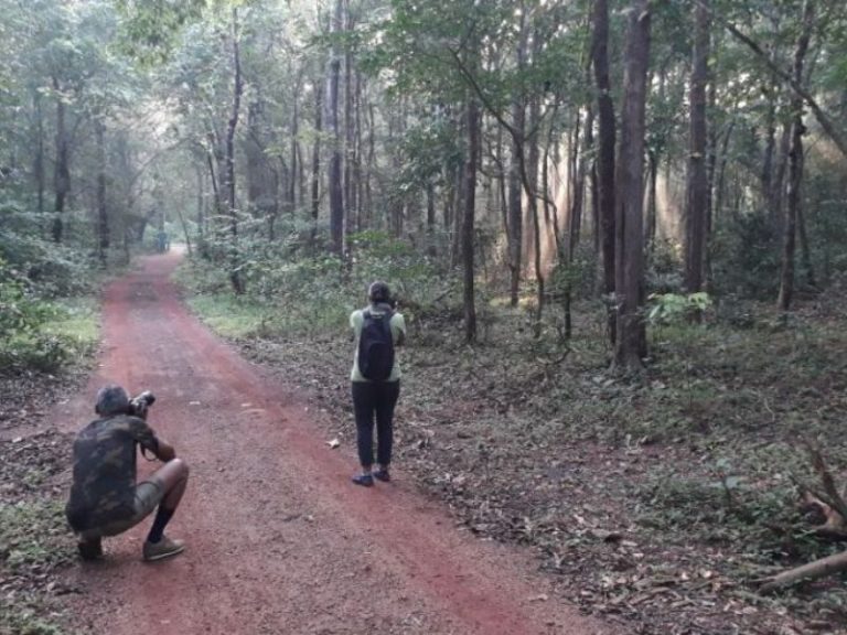 Anejhari Butterfly Camp Kungle Lodges Kollur 1 768x576