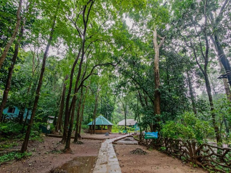 Anejhari Butterfly Camp Kungle Lodges Kollur 2 768x576