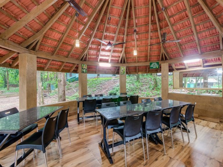 Anejhari Butterfly Camp Kungle Lodges Kollur 4 768x576