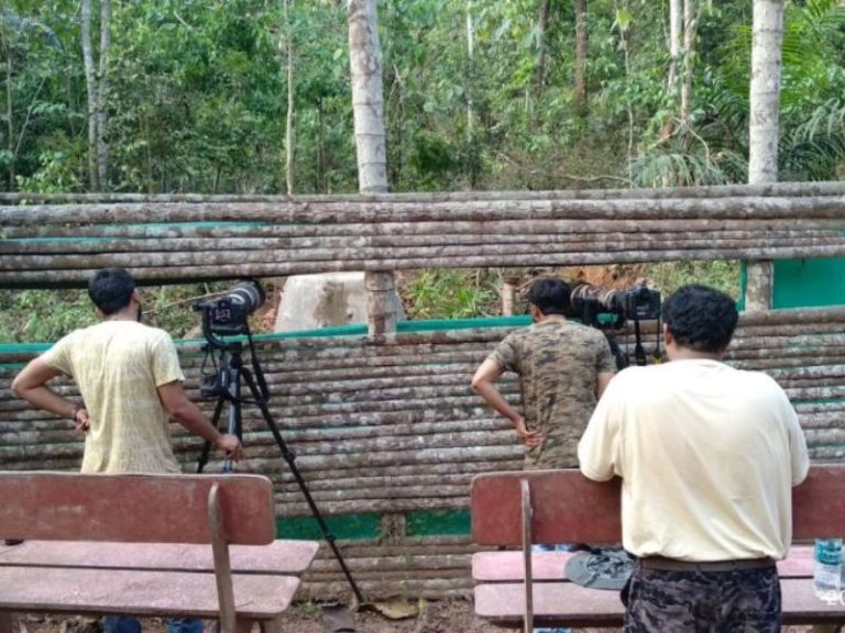 Anejhari Butterfly Camp Kungle Lodges Kollur 5 768x576