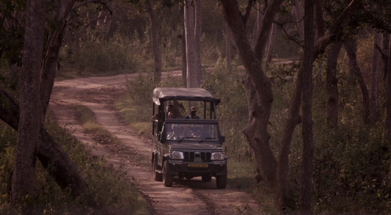 Bandipura Safari Lodge Jungle Lodges in Bandipur 12 768x423