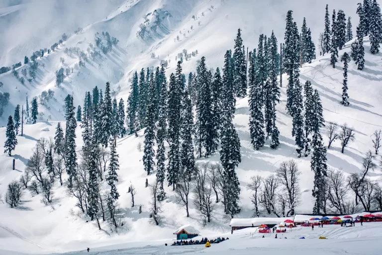 Beautiful Kashmir Tour Package 3 768x512