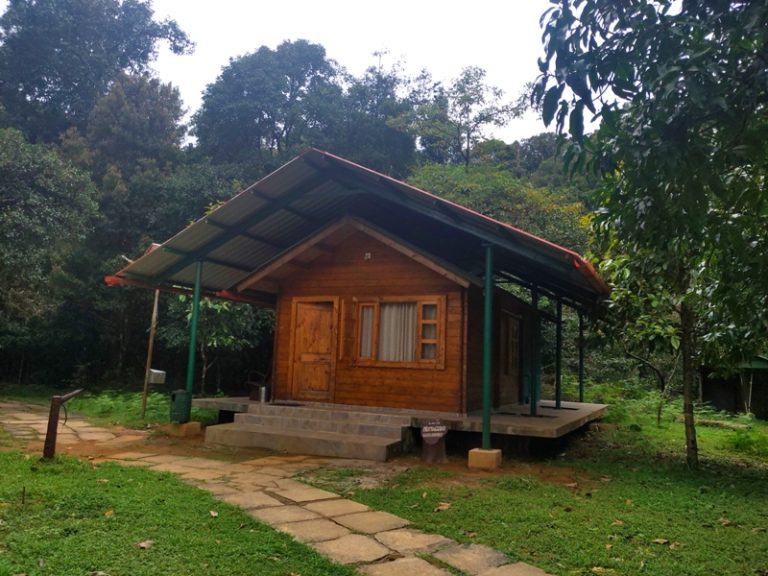 Bhagavathi Nature Camp Jungle Lodges in Chikmagalur 2 768x576
