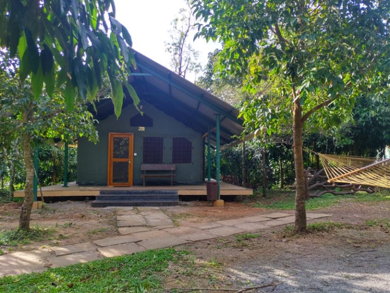 Bhagavathi Nature Camp Jungle Lodges in Chikmagalur 3 768x576