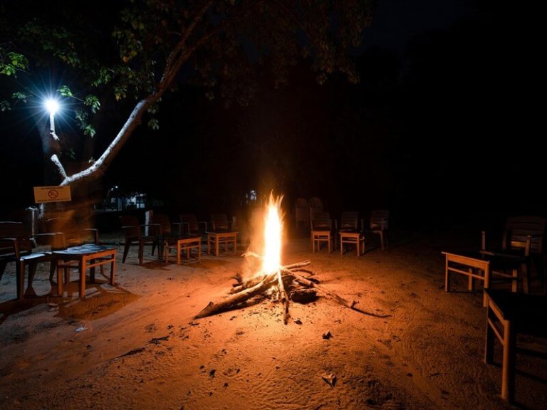 Bheemeshwari Adventure and Nature Camp Jungle Lodges 8 768x576