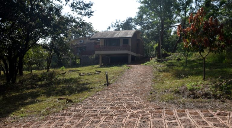 Bhimgad Adventure Camp Jungle Lodges 2 768x423