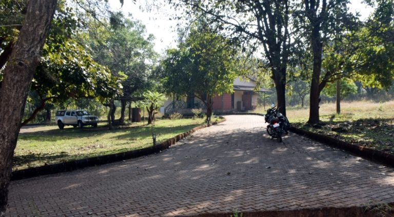 Bhimgad Adventure Camp Jungle Lodges 4 768x423