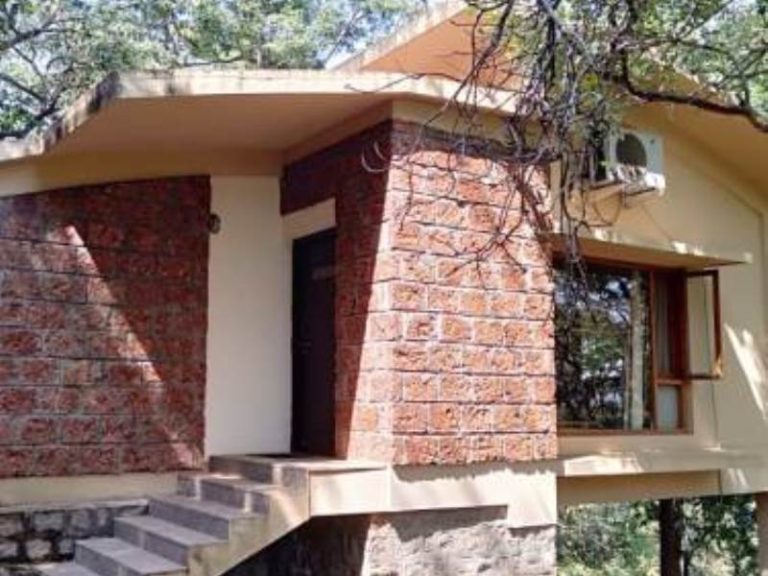 Bhimgad Adventure Camp Jungle Lodges 9 768x576