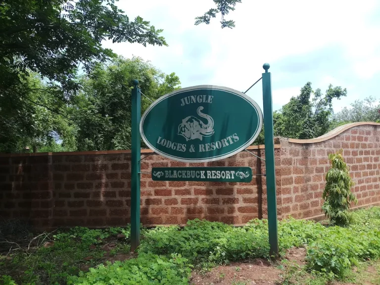 BlackBuck Resort Jungle Lodges and Resorts 12 768x576