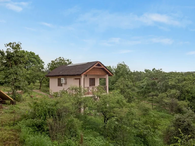 BlackBuck Resort Jungle Lodges and Resorts 17 768x575