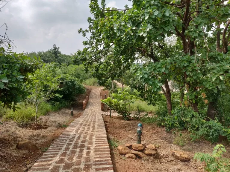 BlackBuck Resort Jungle Lodges and Resorts 2 768x576