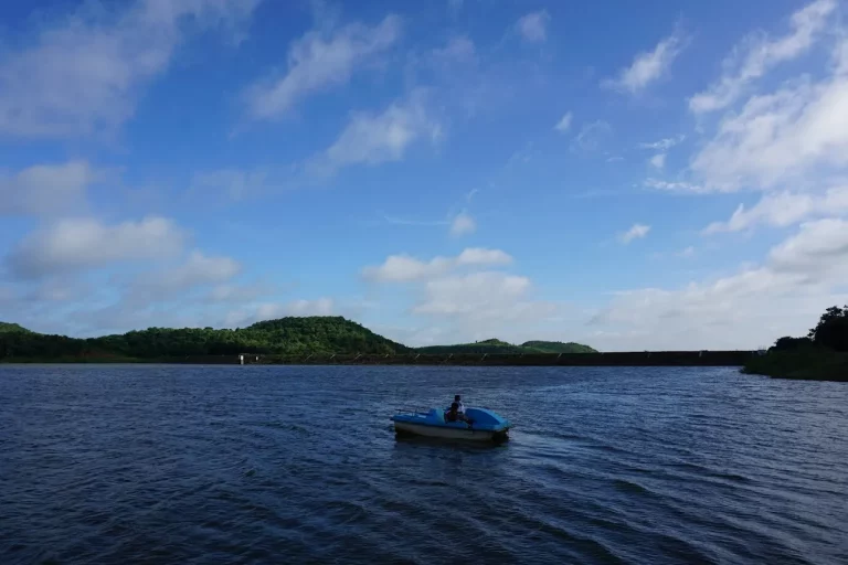 BlackBuck Resort Jungle Lodges and Resorts 4 768x512