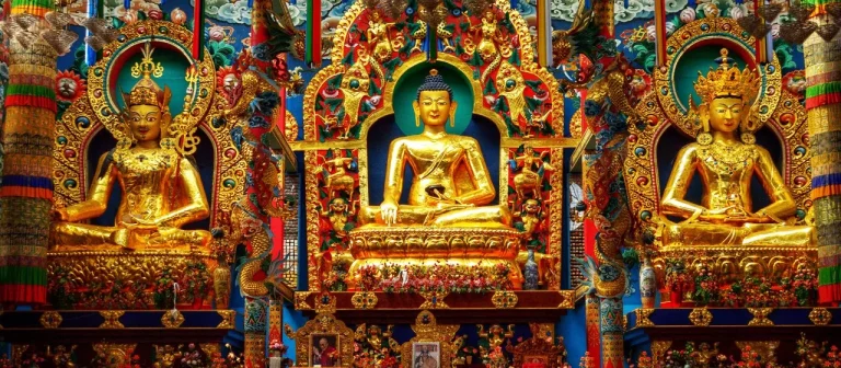 Coorg Tour Package 768x336