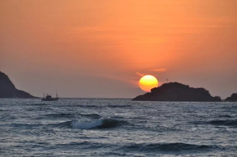 Devbagh Beach Resort Jungle Lodges 16 768x509