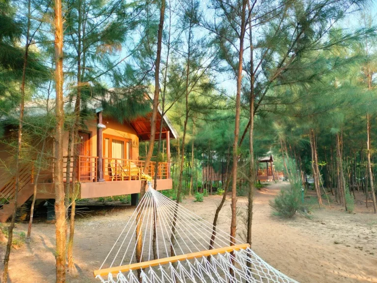 Devbagh Beach Resort Jungle Lodges 18 768x576