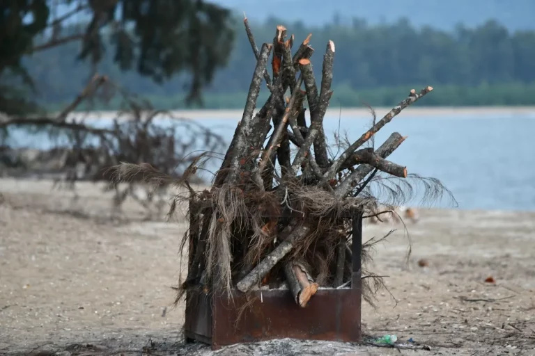 Devbagh Beach Resort Jungle Lodges 2 768x512