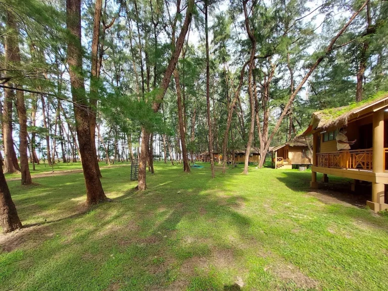 Devbagh Beach Resort Jungle Lodges 20 768x576