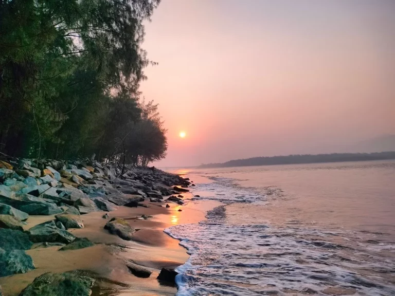 Devbagh Beach Resort Jungle Lodges 3 768x576