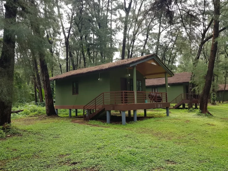 Devbagh Beach Resort Jungle Lodges 4 768x576
