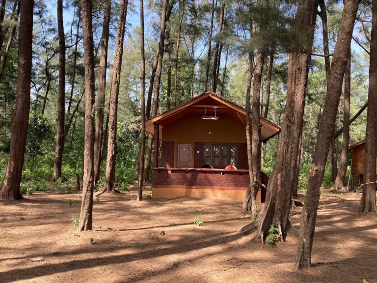 Devbagh Beach Resort Jungle Lodges 7 768x576