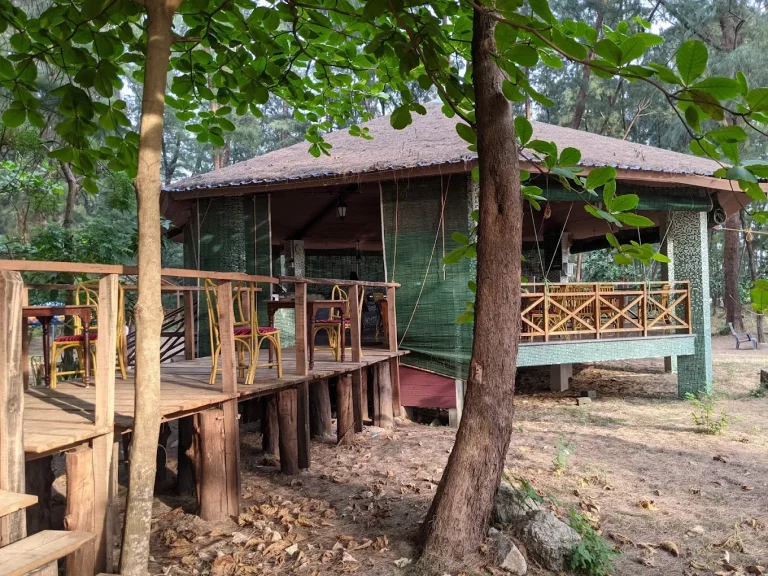 Devbagh Beach Resort Jungle Lodges 8 768x576