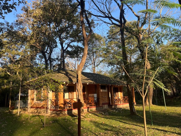 Dubare Elephant Camp Jungle Lodges 15 768x576