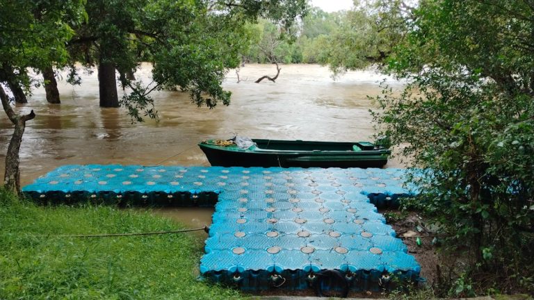 Dubare Elephant Camp Jungle Lodges 16 768x432