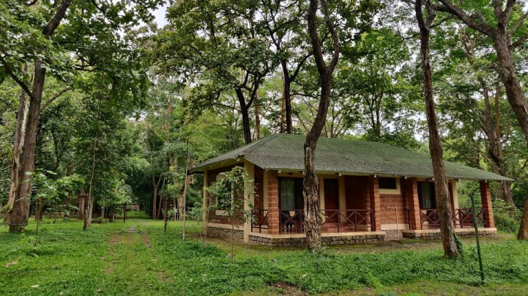 Dubare Elephant Camp Jungle Lodges 17 768x431