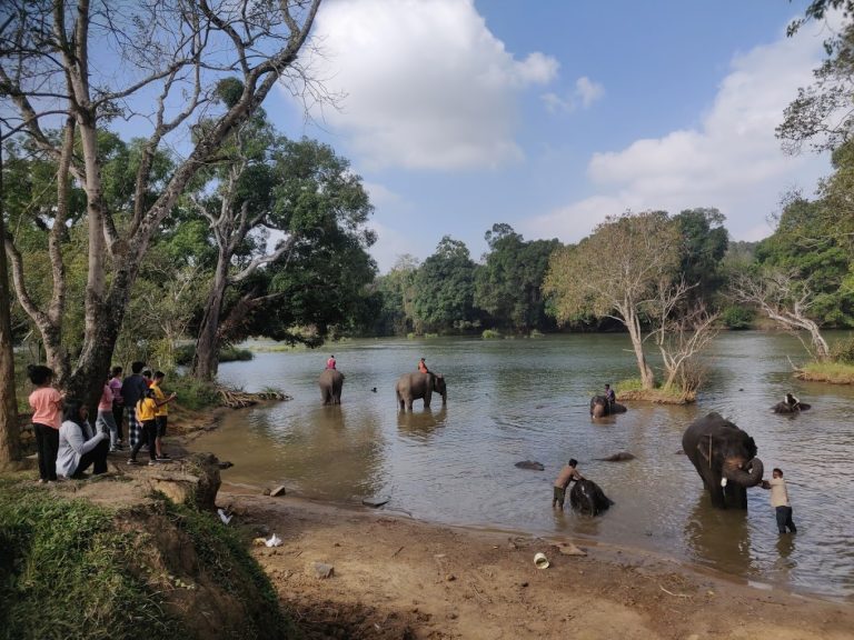 Dubare Elephant Camp Jungle Lodges 18 768x576