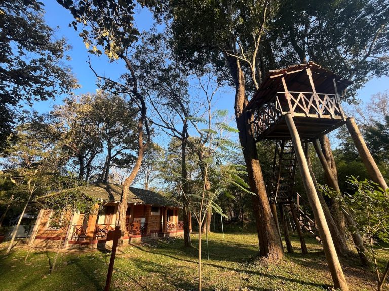 Dubare Elephant Camp Jungle Lodges 20 768x576