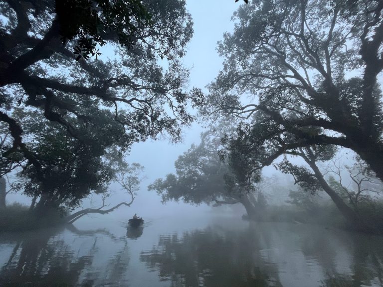 Dubare Elephant Camp Jungle Lodges 24 768x576