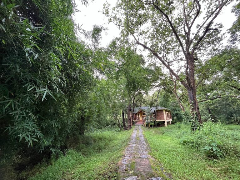 Dubare Elephant Camp Jungle Lodges 3 768x576