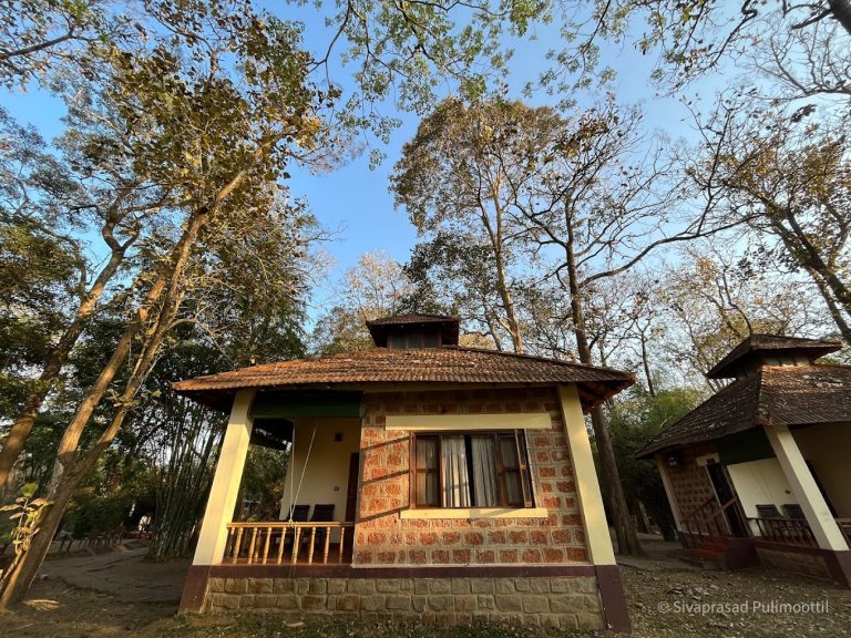 Dubare Elephant Camp Jungle Lodges 4 768x576