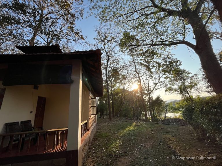Dubare Elephant Camp Jungle Lodges 7 768x576