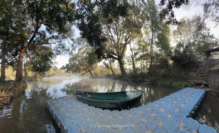 Dubare Elephant Camp Jungle Lodges 9 768x465