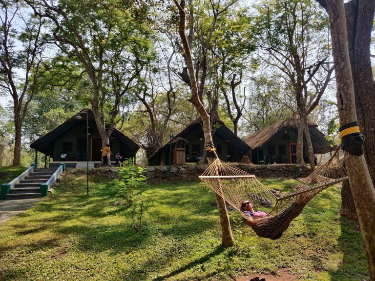 Kabini River Lodge Jungle Lodges 12 768x576