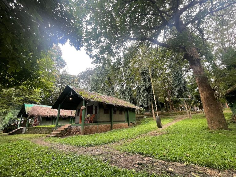 Kali Adventure Camp Jungle Lodges in Dandeli 11 768x576