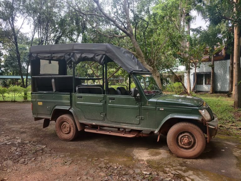 Kali Adventure Camp Jungle Lodges in Dandeli 12 768x576