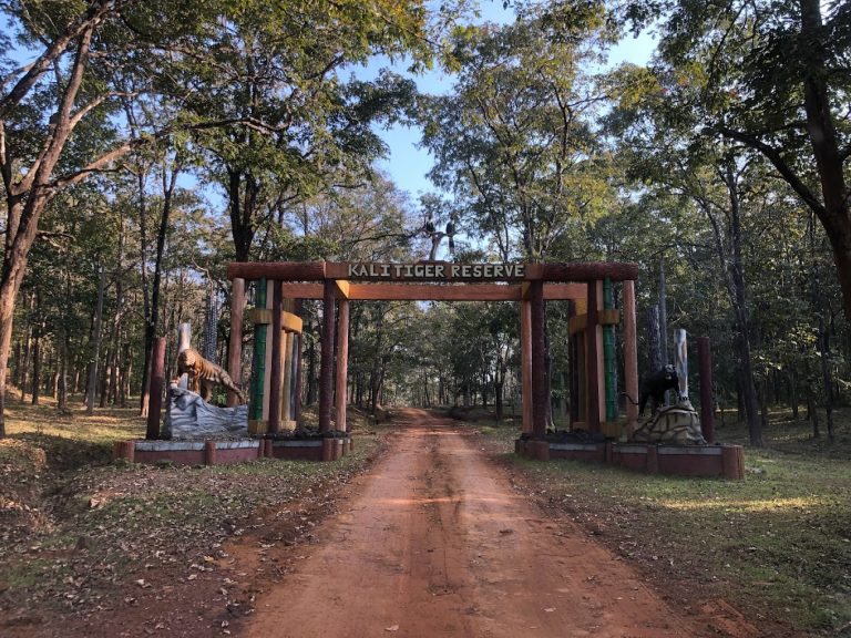 Kali Adventure Camp Jungle Lodges in Dandeli 15 768x576