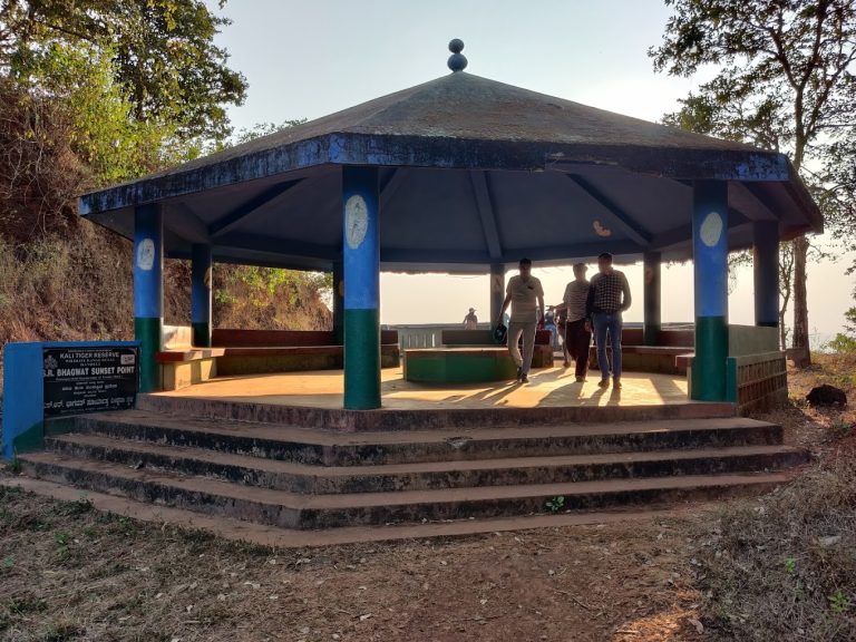 Kali Adventure Camp Jungle Lodges in Dandeli 2 768x576