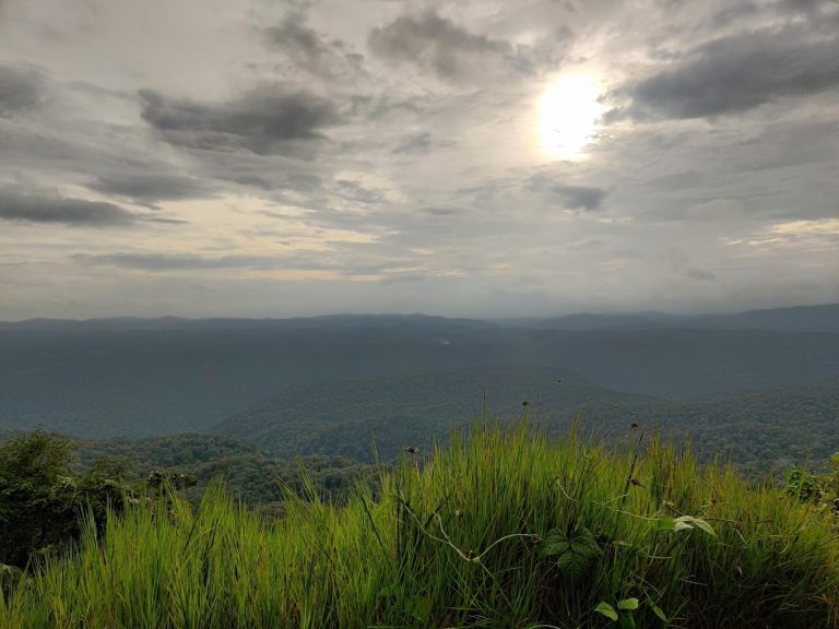 Kali Adventure Camp Jungle Lodges in Dandeli 9 768x576