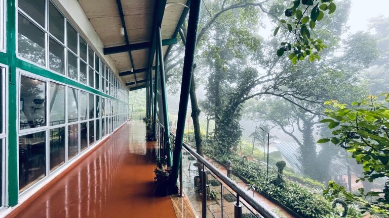 Kemmannugundi Hill Resort Jungle Lodges 1 768x432